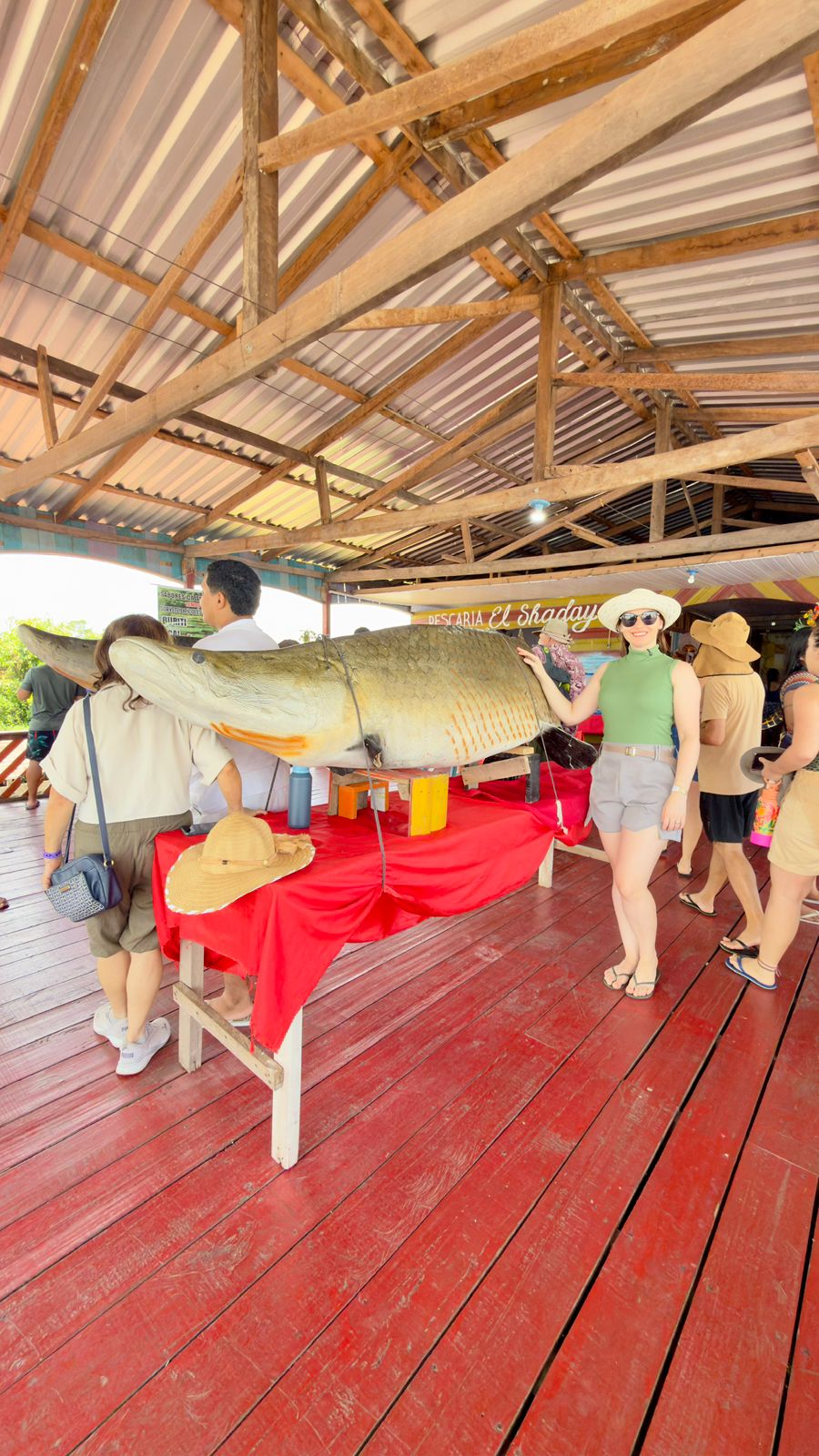 Pirarucu saltando na água durante experiência de pesca amazônica